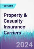 Property & Casualty Insurance Carriers- Product Image