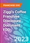 Ziggi's Coffee Franchise Disclosure Document FDD - Product Thumbnail Image