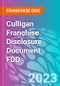 Culligan Franchise Disclosure Document FDD - Product Thumbnail Image