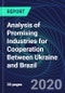 Analysis of Promising Industries for Cooperation Between Ukraine and Brazil - Product Thumbnail Image