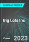 Big Lots Inc (BIG:NYS): Analytics, Extensive Financial Metrics, and Benchmarks Against Averages and Top Companies Within its Industry - Product Thumbnail Image