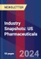 Industry Snapshots: US Pharmaceuticals - Product Thumbnail Image