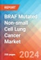 BRAF Mutated Non-small Cell Lung Cancer (NSCLC) - Market Insight, Epidemiology and Market Forecast - 2034 - Product Image