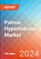 Palmar Hyperhidrosis - Market Insight, Epidemiology and Market Forecast -2032 - Product Thumbnail Image