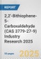 2,2'-Bithiophene-5-Carboxaldehyde (CAS 3779-27-9) Industry Research 2025: Global and Regional Market Trends 2019-2024 and Forecast to 2029 - Product Image