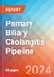 Primary Biliary Cholangitis - Pipeline Insight, 2024 - Product Thumbnail Image