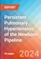 Persistent Pulmonary Hypertension of the Newborn - Pipeline Insight, 2024 - Product Image