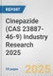 Cinepazide (CAS 23887-46-9) Industry Research 2025: Global and Regional Market Trends 2019-2024 and Forecast to 2029 - Product Image