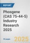 Phosgene (CAS 75-44-5) Industry Research 2025: Global and Regional Market Trends 2019-2024 and Forecast to 2029 - Product Image