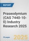 Praseodymium (CAS 7440-10-0) Industry Research 2025: Global and Regional Market Trends 2019-2024 and Forecast to 2029 - Product Image