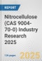 Nitrocellulose (CAS 9004-70-0) Industry Research 2025: Global and Regional Market Trends 2019-2024 and Forecast to 2029 - Product Thumbnail Image