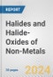 Halides and Halide-Oxides of Non-Metals: European Union Market Outlook 2023-2027 - Product Thumbnail Image