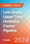 Low-Grade Upper Tract Urothelial Cancer (LG UTUC) - Pipeline Insight, 2024 - Product Thumbnail Image