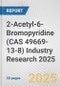 2-Acetyl-6-Bromopyridine (CAS 49669-13-8) Industry Research 2025: Global and Regional Market Trends 2019-2024 and Forecast to 2029 - Product Thumbnail Image