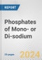 Phosphates of Mono- or Di-sodium: European Union Market Outlook 2023-2027 - Product Thumbnail Image