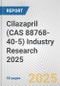 Cilazapril (CAS 88768-40-5) Industry Research 2025: Global and Regional Market Trends 2019-2024 and Forecast to 2029 - Product Image