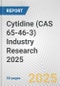 Cytidine (CAS 65-46-3) Industry Research 2025: Global and Regional Market Trends 2019-2024 and Forecast to 2029 - Product Image