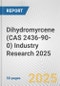 Dihydromyrcene (CAS 2436-90-0) Industry Research 2025: Global and Regional Market Trends 2019-2024 and Forecast to 2029 - Product Thumbnail Image