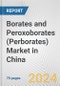 Borates and Peroxoborates (Perborates) Market in China: Business Report 2024 - Product Thumbnail Image