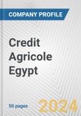 Credit Agricole Egypt Fundamental Company Report Including Financial, SWOT, Competitors and Industry Analysis- Product Image