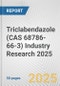 Triclabendazole (CAS 68786-66-3) Industry Research 2025: Global and Regional Market Trends 2019-2024 and Forecast to 2029 - Product Thumbnail Image