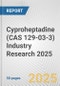 Cyproheptadine (CAS 129-03-3) Industry Research 2025: Global and Regional Market Trends 2019-2024 and Forecast to 2029 - Product Image