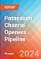 Potassium Channel Openers - Pipeline Insight, 2024 - Product Thumbnail Image