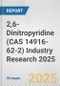 2,6-Dinitropyridine (CAS 14916-62-2) Industry Research 2025: Global and Regional Market Trends 2019-2024 and Forecast to 2029 - Product Image