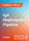 IgA Nephropathy - Pipeline Insight, 2024 - Product Image