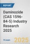 Daminozide (CAS 1596-84-5) Industry Research 2025: Global and Regional Market Trends 2019-2024 and Forecast to 2029 - Product Image