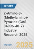 2-Amino-3-(Methylamino)-Pyrazine (CAS 84996-40-7) Industry Research 2025: Global and Regional Market Trends 2019-2024 and Forecast to 2029- Product Image