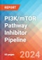 PI3K/mTOR Pathway Inhibitor - Pipeline Insight, 2024 - Product Image