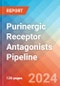 Purinergic Receptor (Purinoceptor) Antagonists - Pipeline Insight, 2024 - Product Thumbnail Image