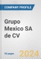 Grupo Mexico SA de CV Fundamental Company Report Including Financial, SWOT, Competitors and Industry Analysis - Product Thumbnail Image