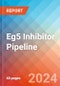 Eg5 Inhibitor - Pipeline Insight, 2024 - Product Thumbnail Image