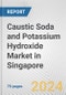 Caustic Soda and Potassium Hydroxide Market in Singapore: Business Report 2024 - Product Thumbnail Image