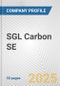 SGL Carbon SE Fundamental Company Report Including Financial, SWOT, Competitors and Industry Analysis - Product Thumbnail Image