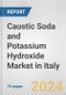 Caustic Soda and Potassium Hydroxide Market in Italy: Business Report 2024 - Product Thumbnail Image