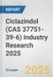 Ciclazindol (CAS 37751-39-6) Industry Research 2025: Global and Regional Market Trends 2019-2024 and Forecast to 2029 - Product Image