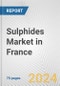 Sulphides Market in France: Business Report 2024 - Product Thumbnail Image