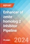 Enhancer of zeste homolog 2 (EZH2) Inhibitor - Pipeline Insight, 2024 - Product Image