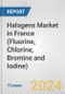 Halogens Market in France (Fluorine, Chlorine, Bromine and Iodine): Business Report 2024 - Product Thumbnail Image
