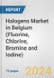Halogens Market in Belgium (Fluorine, Chlorine, Bromine and Iodine): Business Report 2024 - Product Image