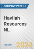 Havilah Resources NL Fundamental Company Report Including Financial, SWOT, Competitors and Industry Analysis- Product Image