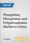 Phosphites, Phosphates and Polyphosphates Market in China: Business Report 2024 - Product Thumbnail Image