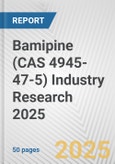 Bamipine (CAS 4945-47-5) Industry Research 2025: Global and Regional Market Trends 2019-2024 and Forecast to 2029- Product Image