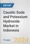 Caustic Soda and Potassium Hydroxide Market in Indonesia: Business Report 2024 - Product Thumbnail Image