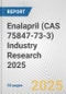 Enalapril (CAS 75847-73-3) Industry Research 2025: Global and Regional Market Trends 2019-2024 and Forecast to 2029 - Product Image