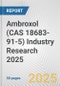 Ambroxol (CAS 18683-91-5) Industry Research 2025: Global and Regional Market Trends 2019-2024 and Forecast to 2029 - Product Image