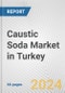 Caustic Soda Market in Turkey: 2017-2023 Review and Forecast to 2027 - Product Thumbnail Image